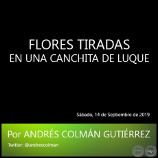 FLORES TIRADAS EN UNA CANCHITA DE LUQUE - Por ANDRS COLMN GUTIRREZ - Sbado, 14 de Septiembre de 2019
